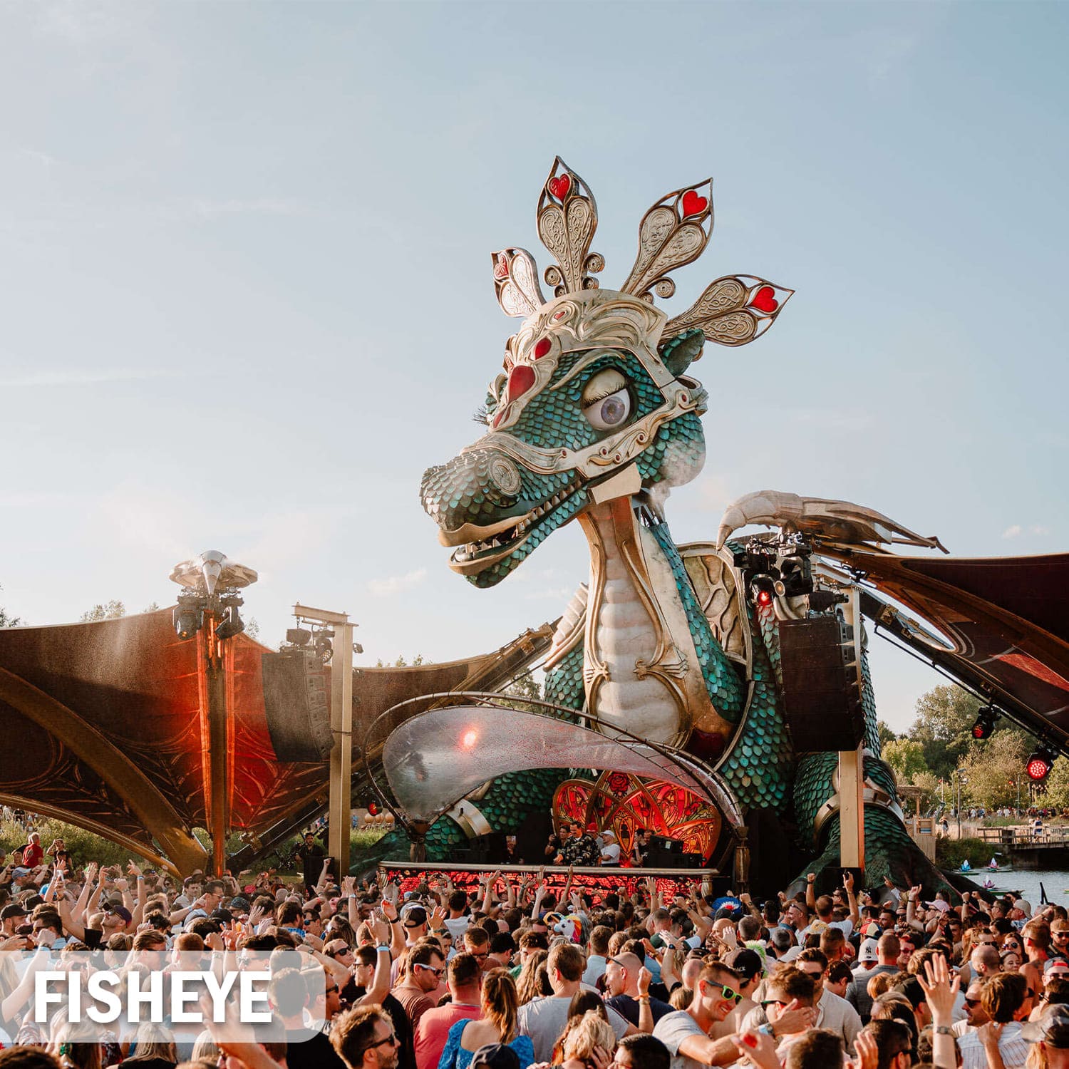 Styropor-Drache-Fisheye von Nettuno Sistemi